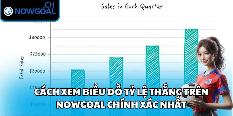 Cách xem biểu đồ tỷ lệ thắng