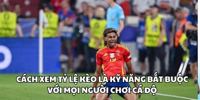 Cách xem tỷ lệ kèo là kỹ năng bắt buộc với mọi người chơi cá độ