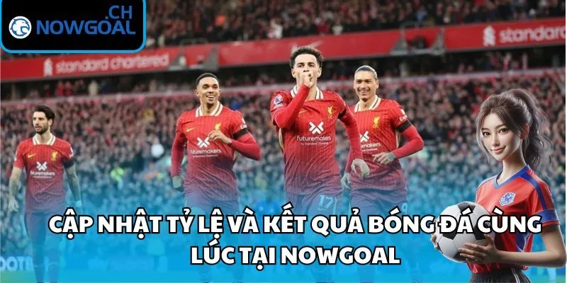 Cập nhật tỷ lệ và kết quả bóng đá