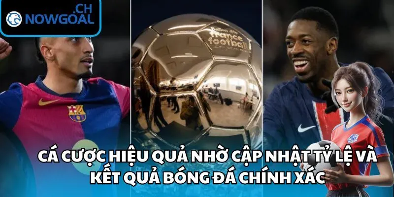 Cá cược hiệu quả nhờ cập nhật tỷ lệ và kết quả bóng đá chính xác