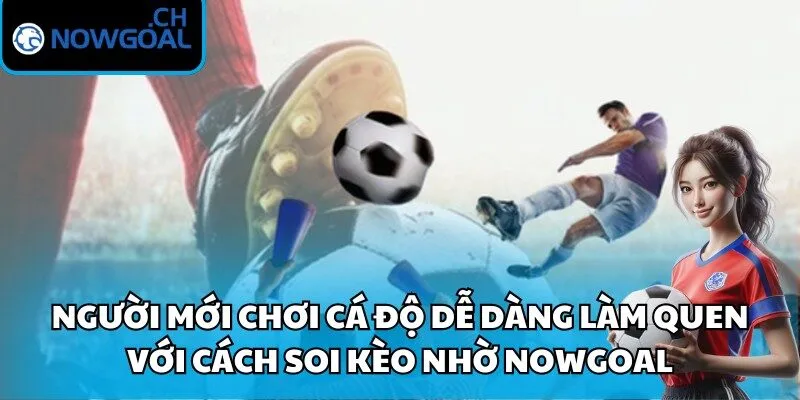Người mới chơi cá độ dễ dàng làm quen với cách soi kèo nhờ Nowgoal