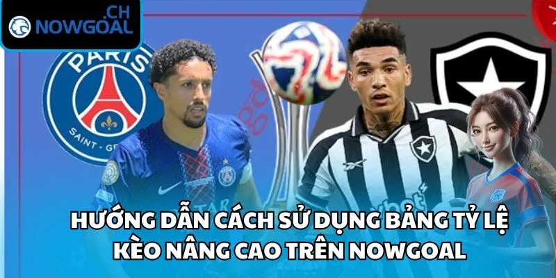Cách sử dụng bảng tỷ lệ kèo
