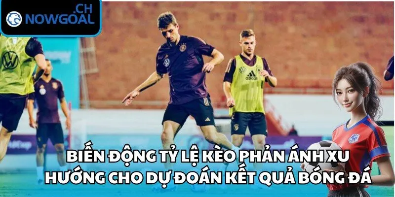 Biến động tỷ lệ kèo phản ánh xu hướng cho dự đoán kết quả bóng đá