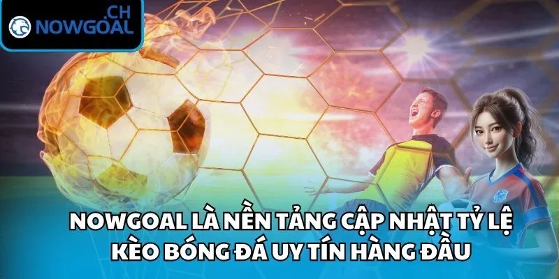Nowgoal là nền tảng cập nhật tỷ lệ kèo bóng đá uy tín hàng đầu