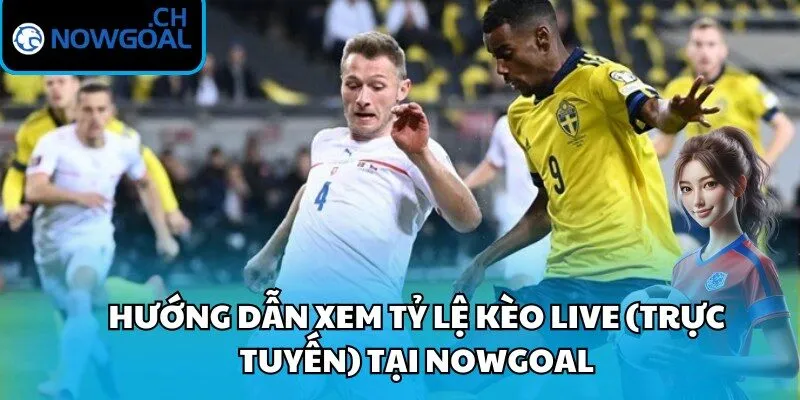 Hướng dẫn xem tỷ lệ kèo live