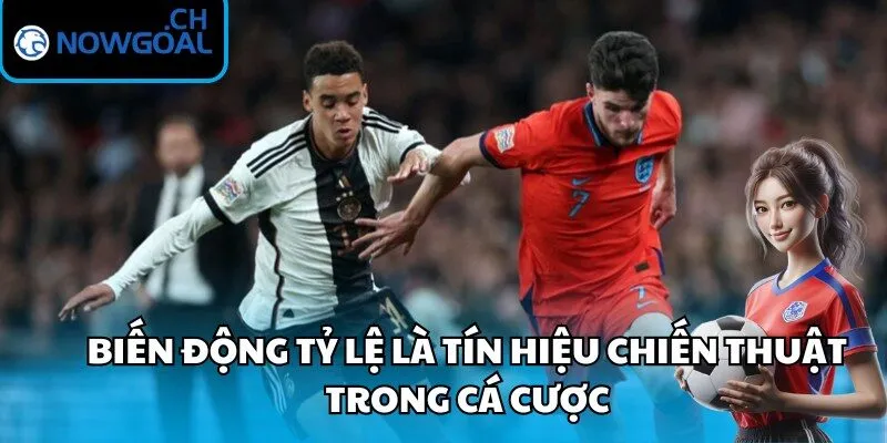 Biến động tỷ lệ là tín hiệu chiến thuật trong cá cược