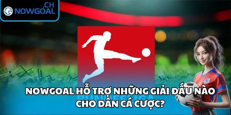 Nowgoal hỗ trợ những giải đấu nào