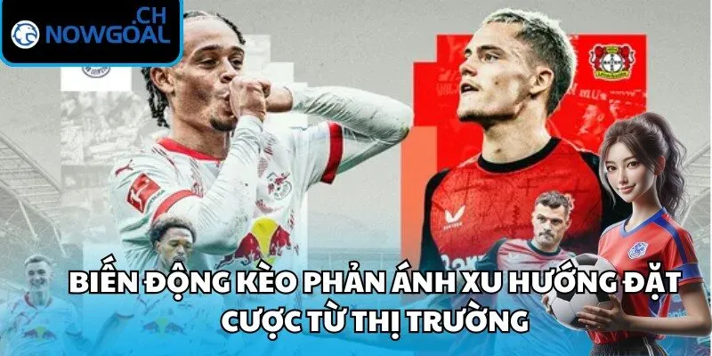 Biến động kèo phản ánh xu hướng đặt cược từ thị trường