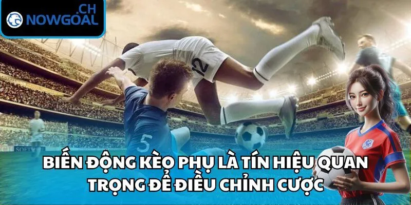 Biến động kèo phụ là tín hiệu quan trọng để điều chỉnh cược