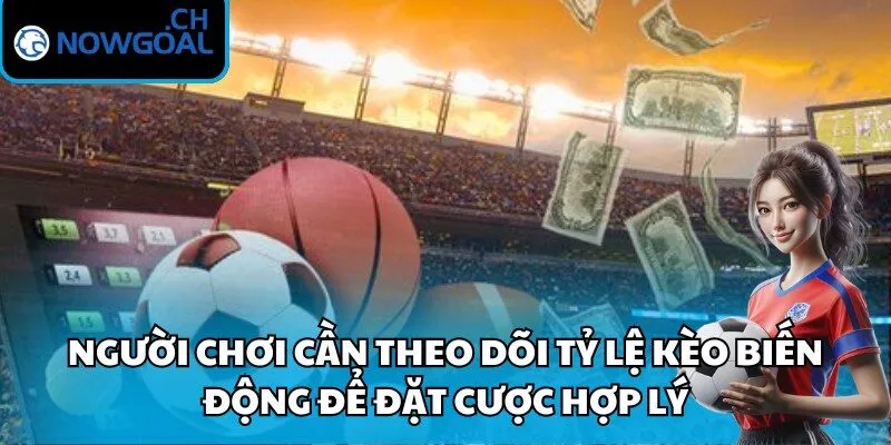 Người chơi cần theo dõi tỷ lệ kèo biến động để đặt cược hợp lý
