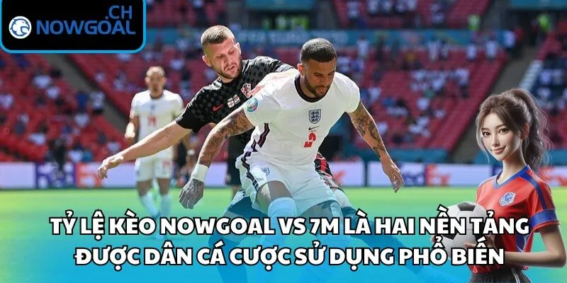 Tỷ lệ kèo Nowgoal vs 7m là hai nền tảng được dân cá cược sử dụng phổ biến