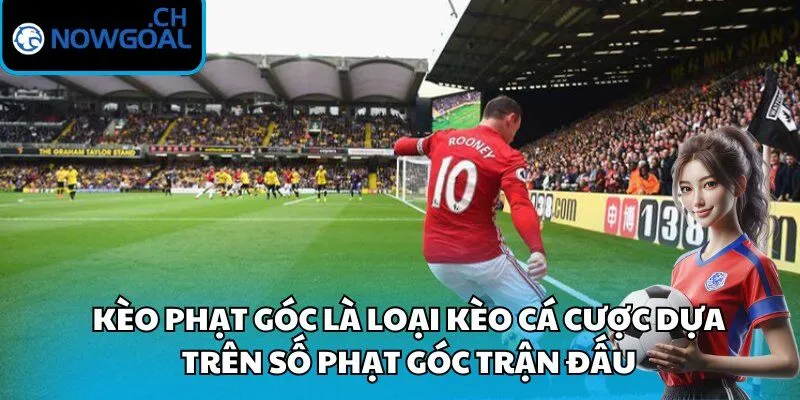 Kèo phạt góc là loại kèo cá cược dựa trên số phạt góc trận đấu